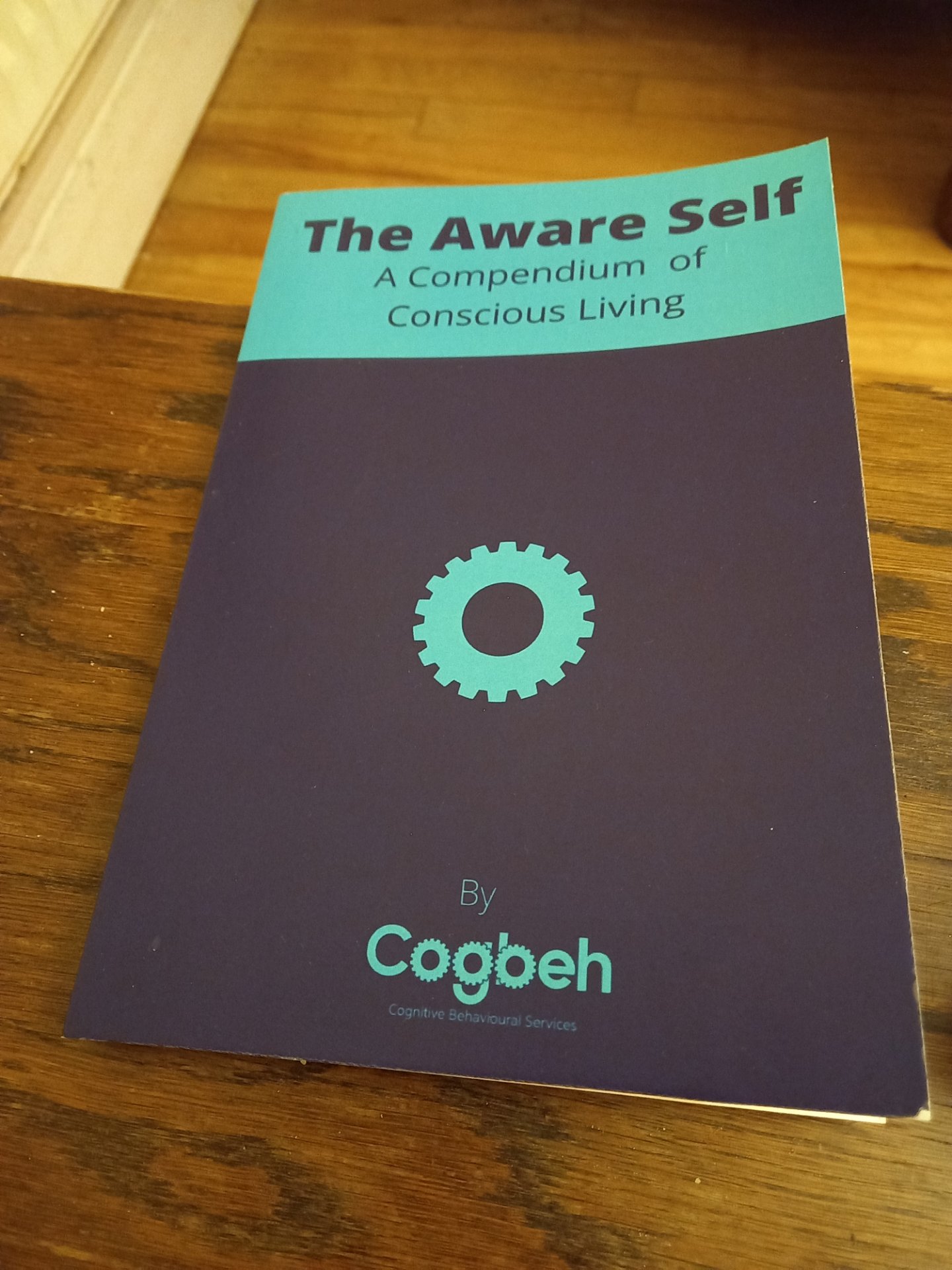 Cogbeh - Cognitive Behavioural Therapy, CBT, Psychotherapy, Sport, Author. Lecturer. Clonmel, Tipperary, Online.