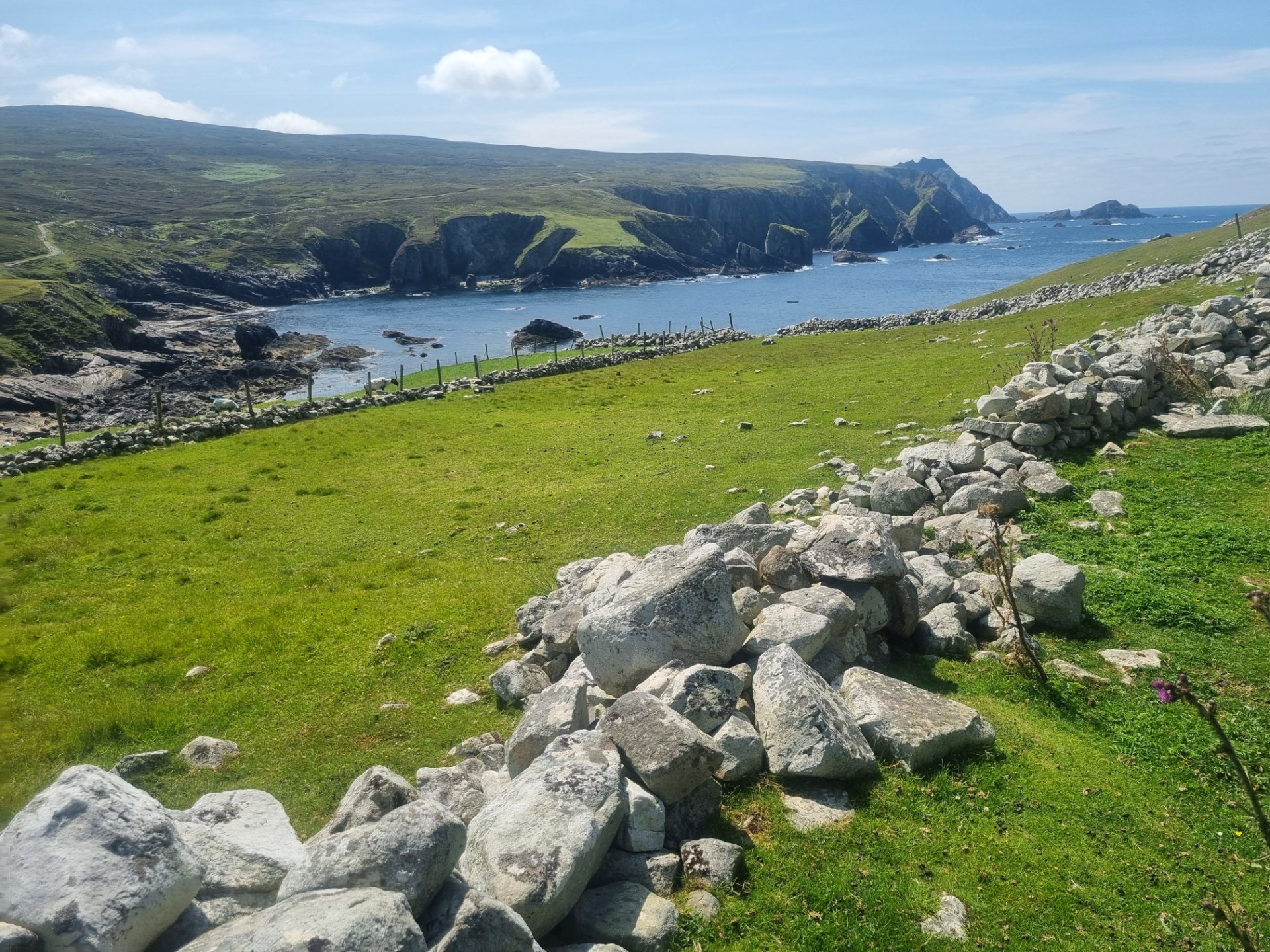 Sliabh Liag Scenic Tours
