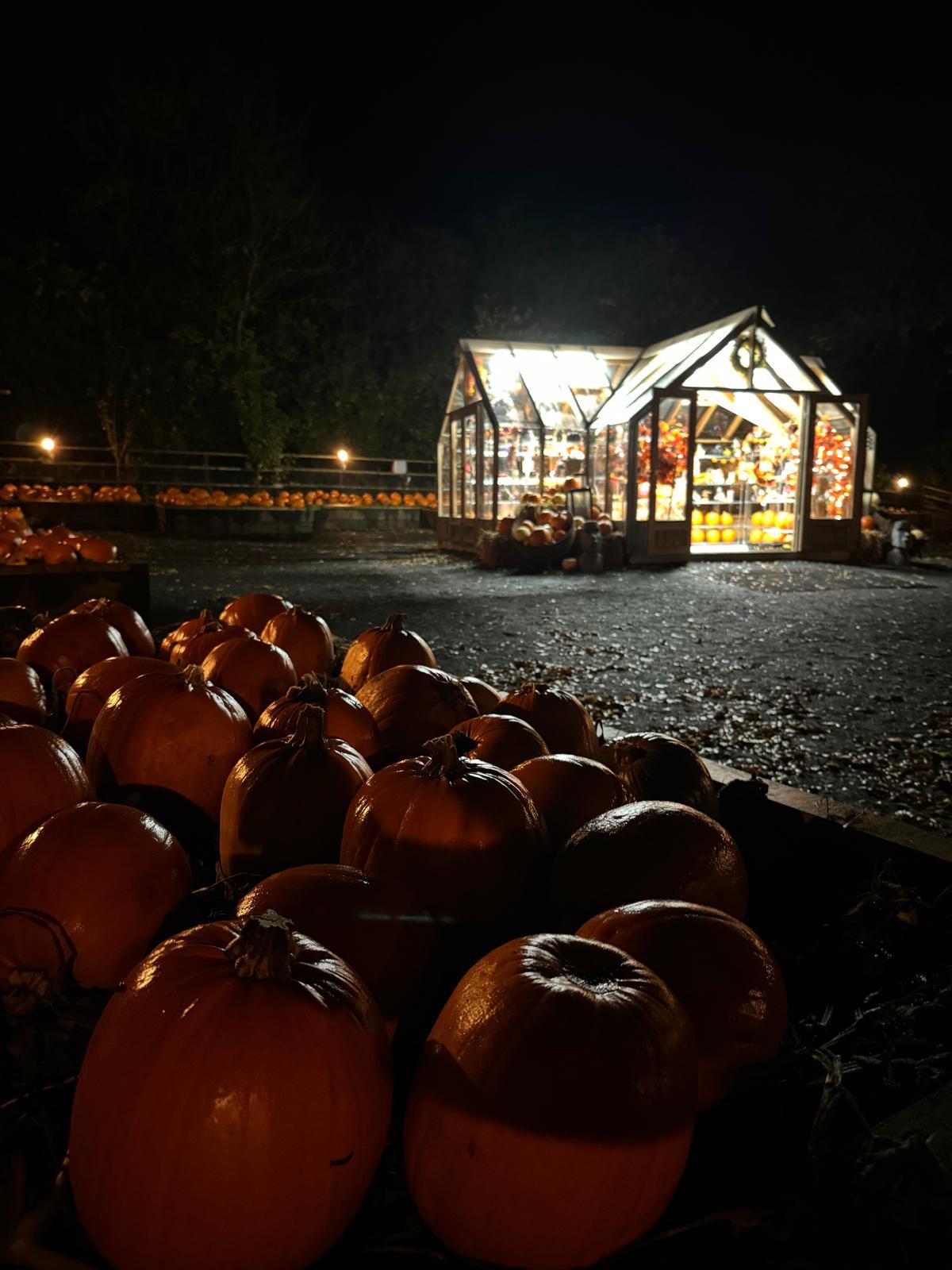 Kildare Farm Foods, Open Farm & Shop