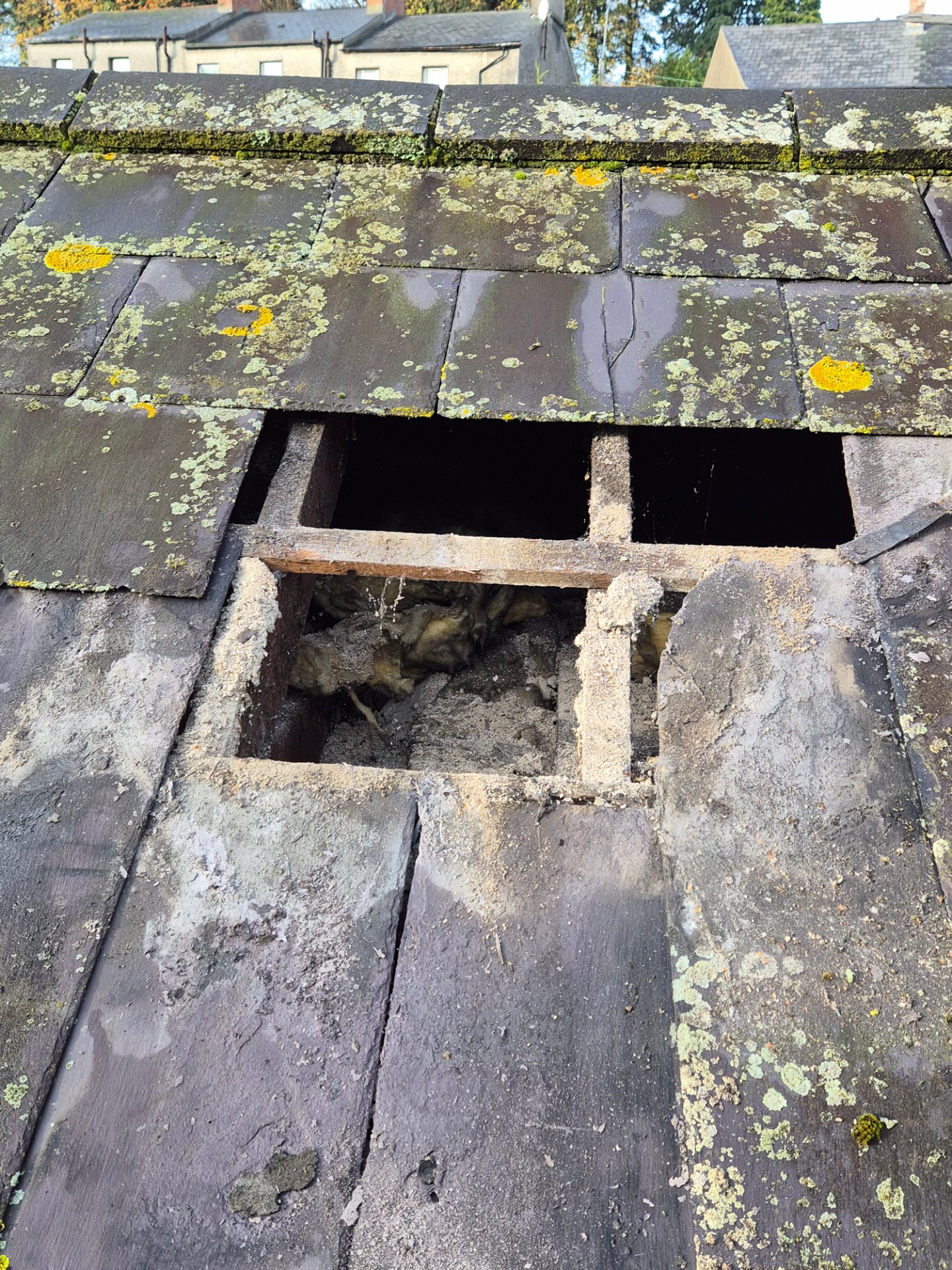 roof repairs and guttering dundalk