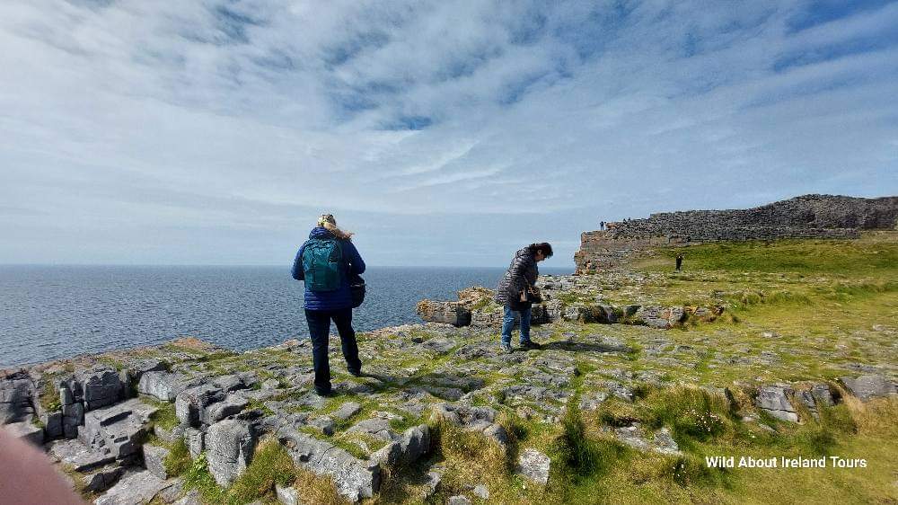 Wild About Ireland Tours