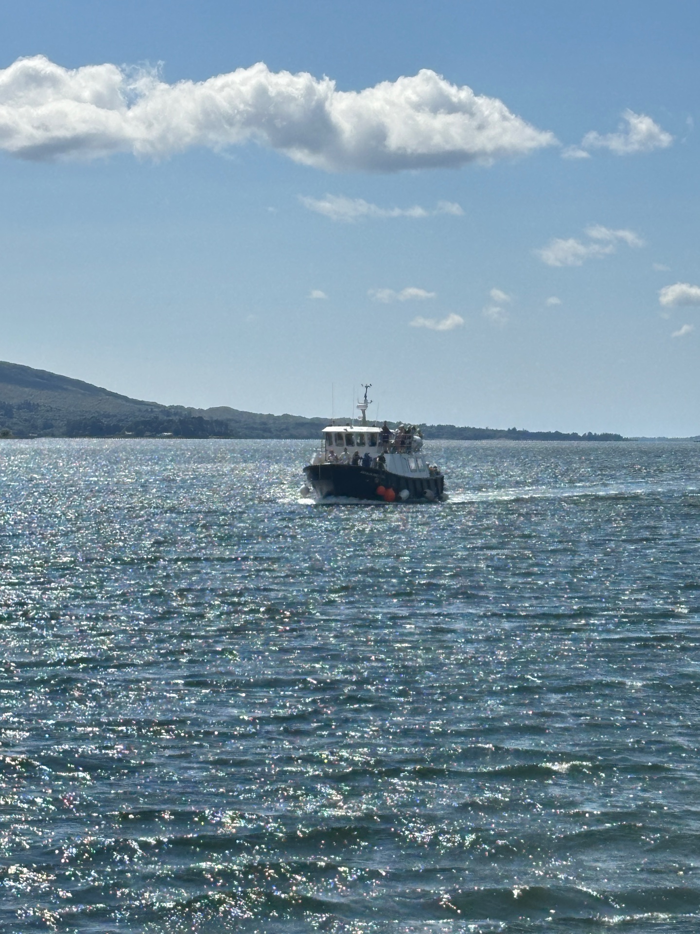 Kenmare Bay Boat Tours