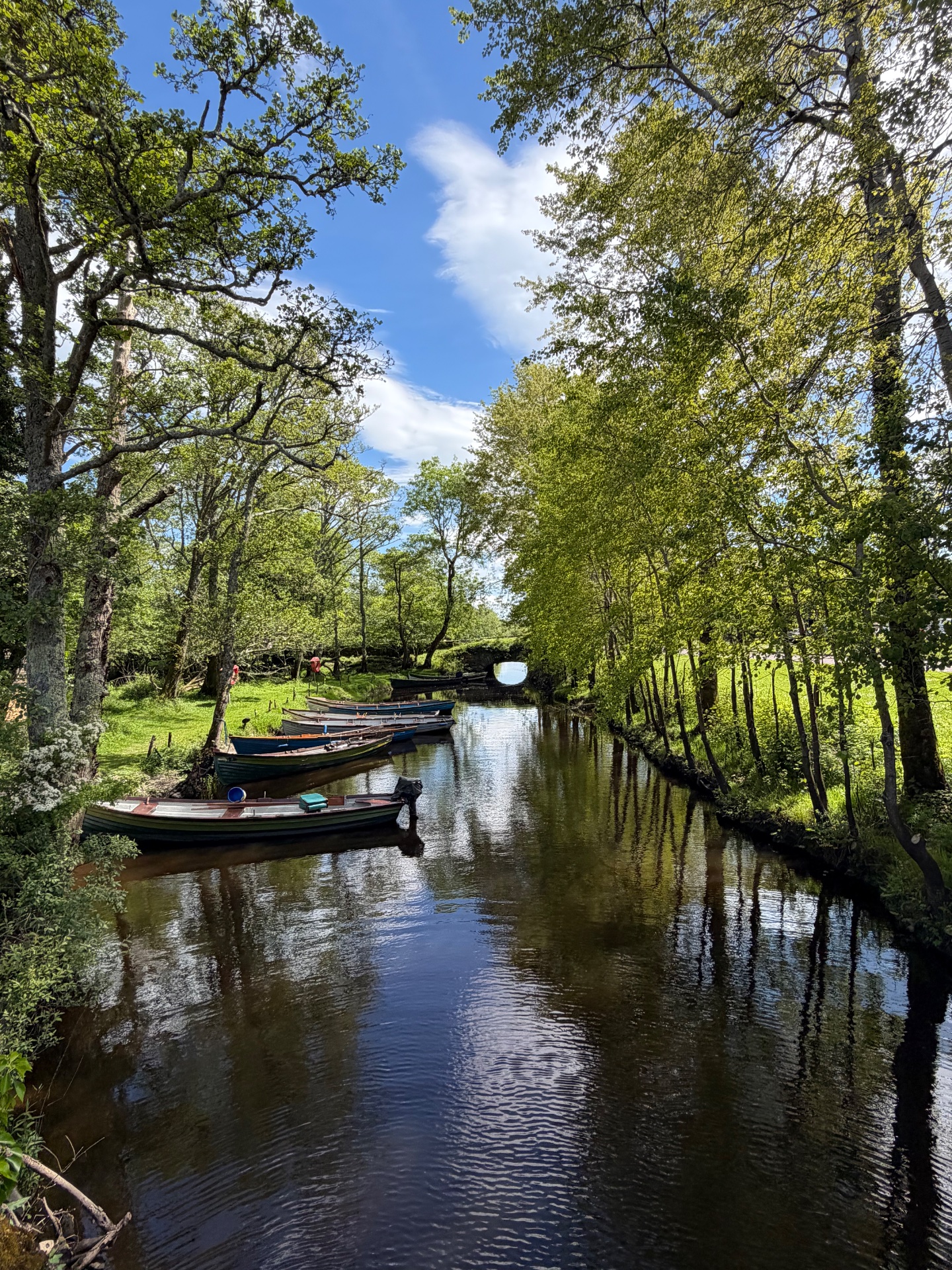 Creagh Travel - Private Tours of Ireland