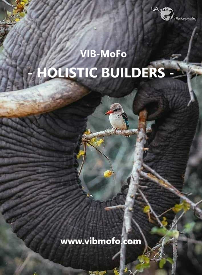 VIB-MoFo - Comprehensive Holistic Therapies | Co. Cavan