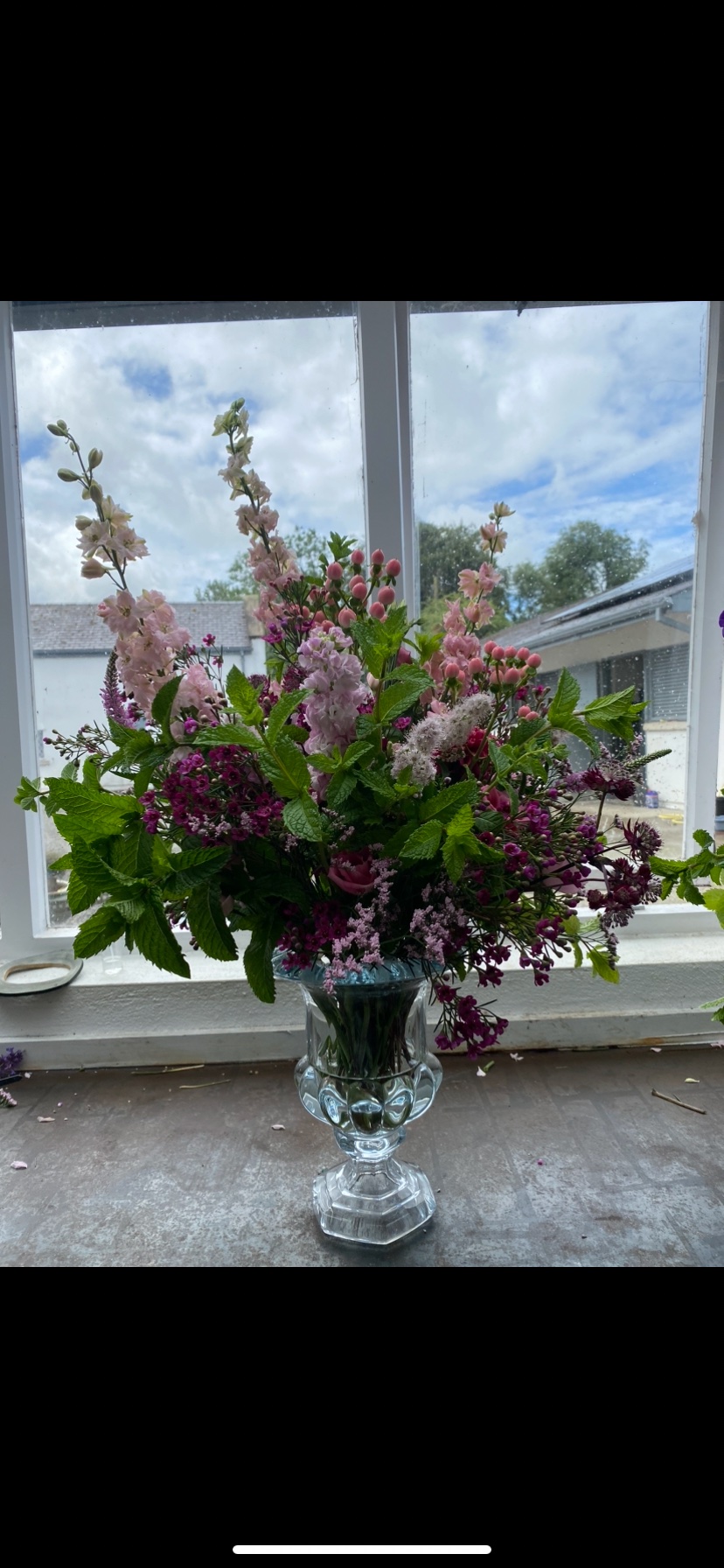 The Potting Shed