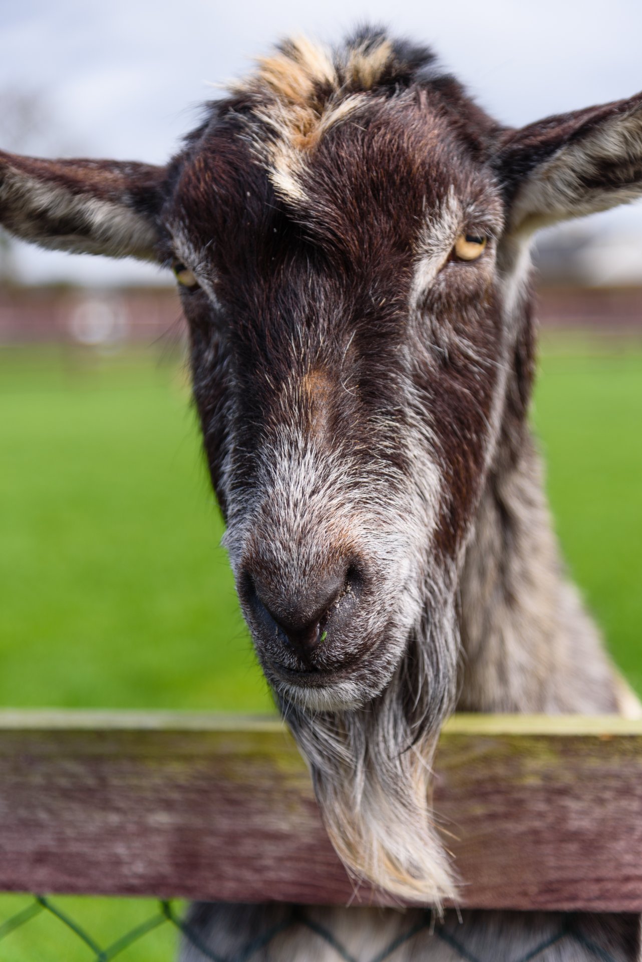 Kildare Farm Foods, Open Farm & Shop
