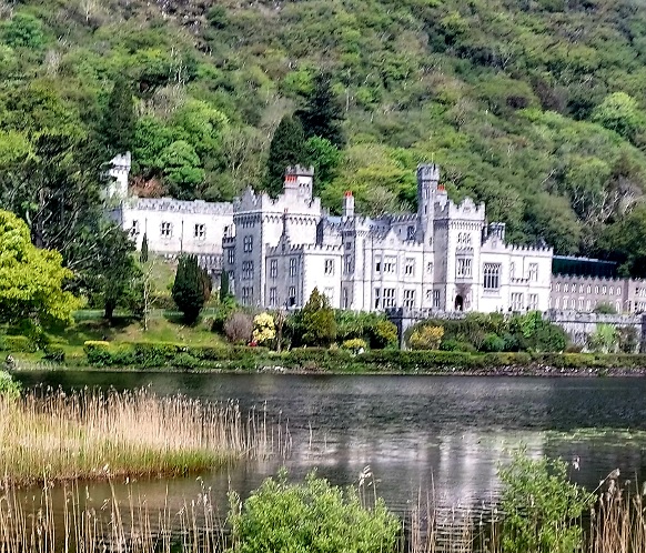 Wild About Ireland Tours