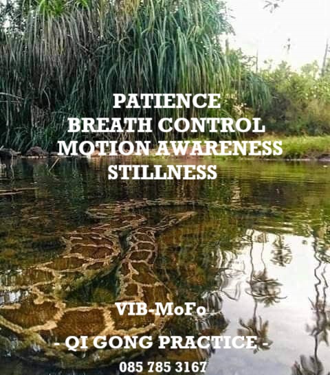 VIB-MoFo - Comprehensive Holistic Therapies | Co. Cavan