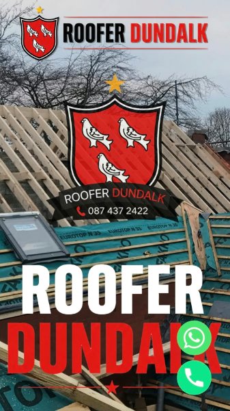 roof repairs and guttering dundalk